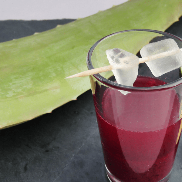 Jus à l’aloe&nbsp;vera