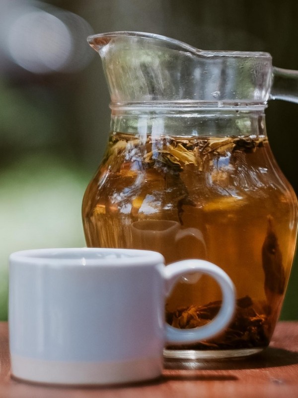 Thé vert glacé à la menthe et tisane de fruits&nbsp;glacée