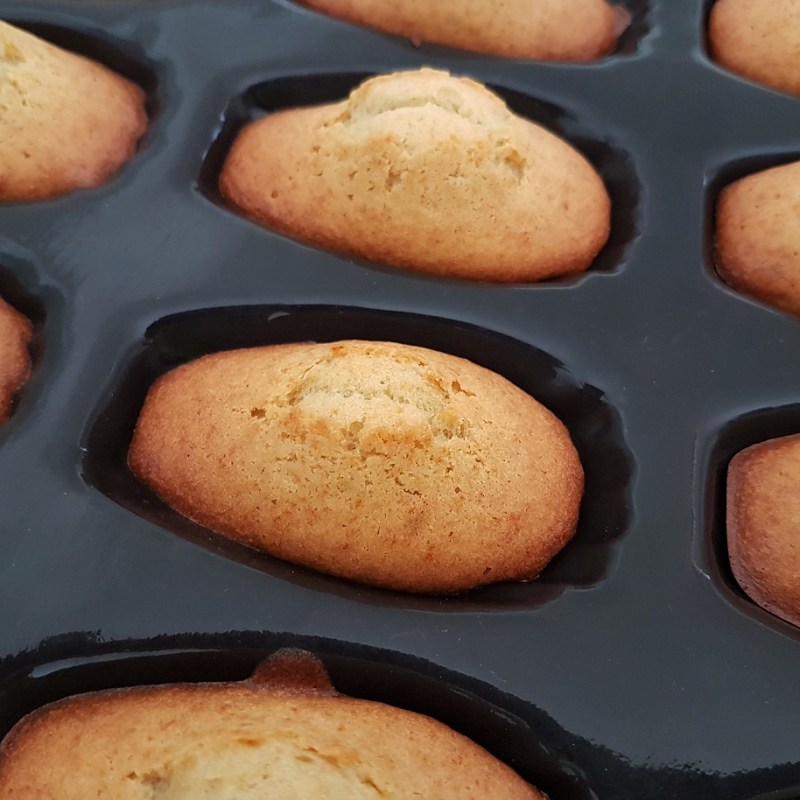 Madeleines au miel et à la fleur&nbsp;d&rsquo;oranger